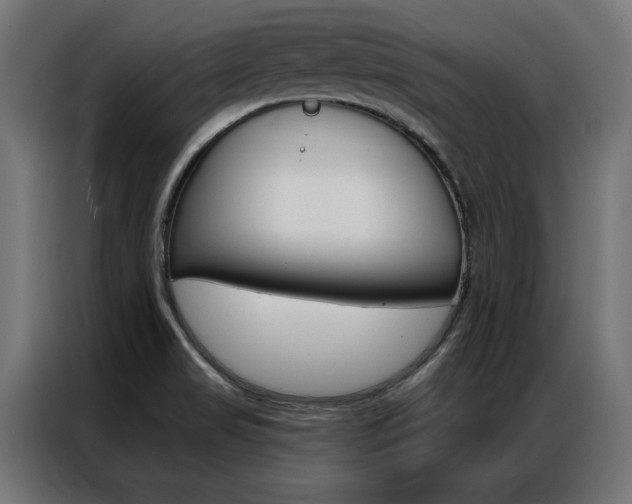 X0000086951517200704161046