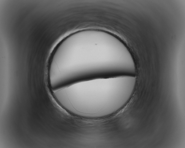 X0000086951518200704161046