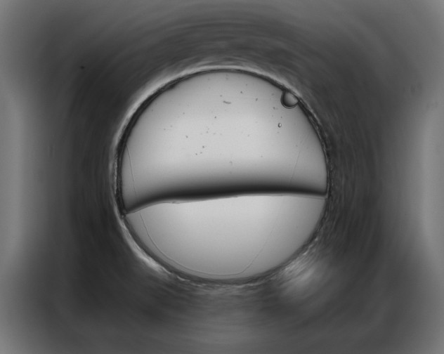 X0000086951519200704161046