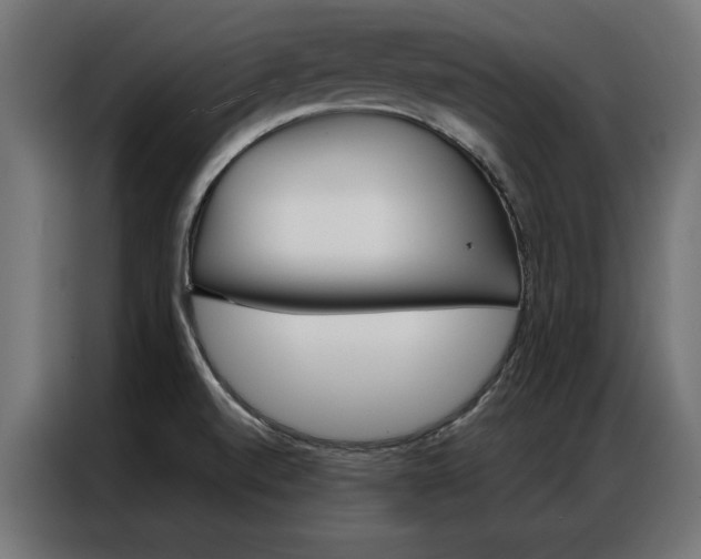 X0000086951520200704161046