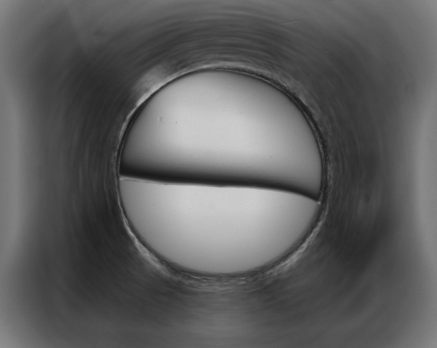 X0000086951521200704161046