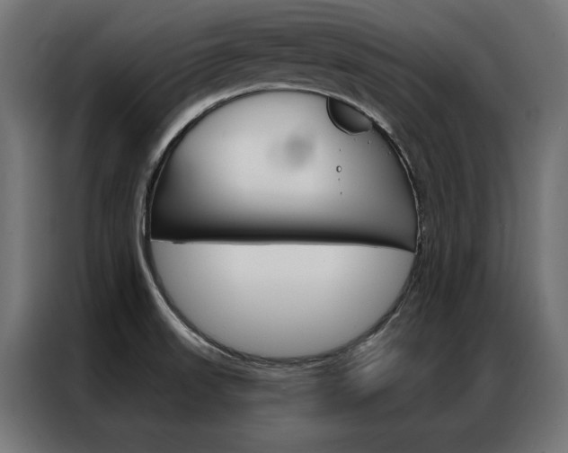 X0000086951523200704161046