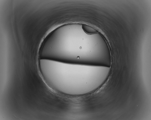 X0000086951525200704161046