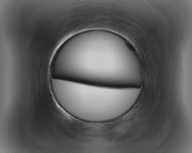 X0000086951527200704161046