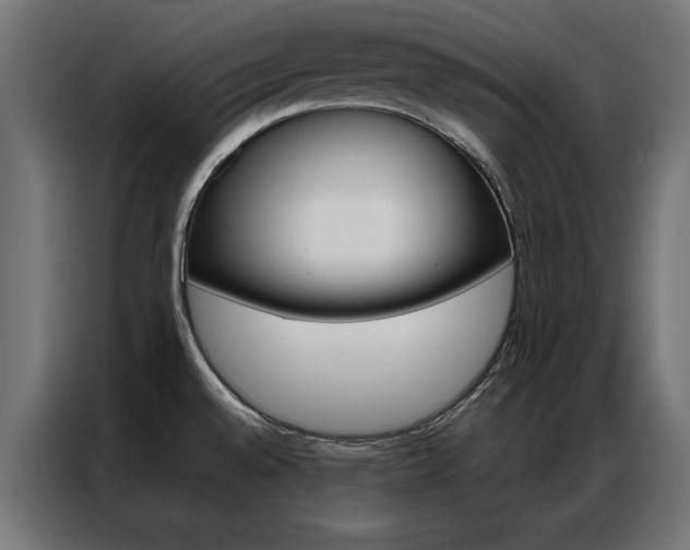 X0000086951528200704161046