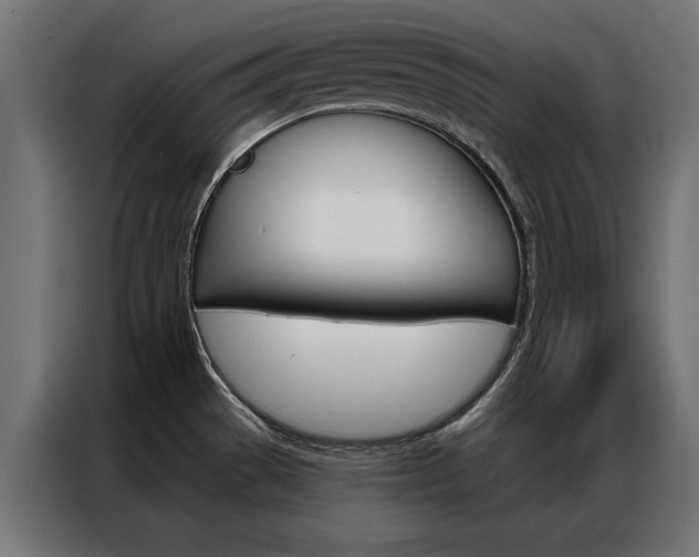 X0000086951529200704161046