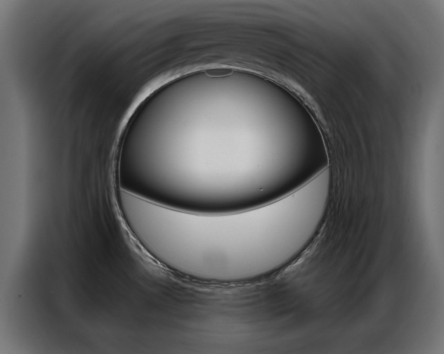 X0000086951530200704161046