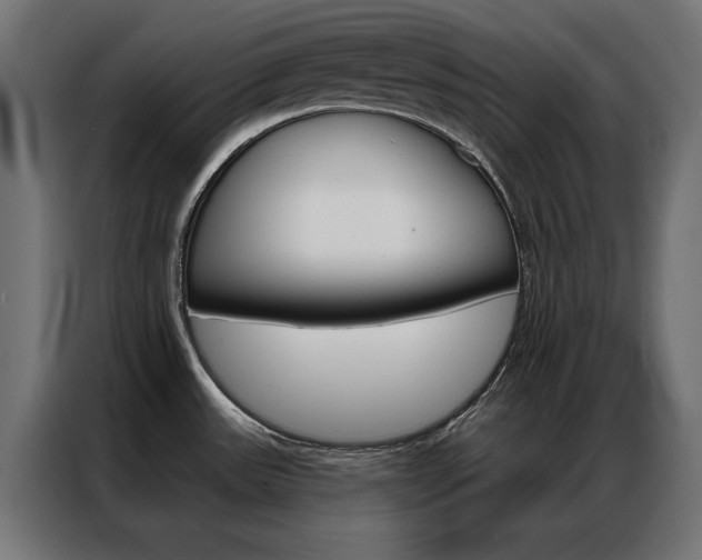X0000086951531200704161046