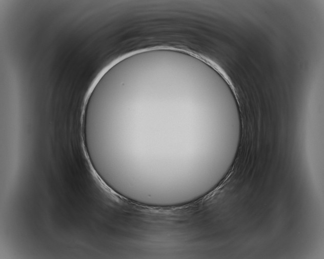 X0000086951532200704161046