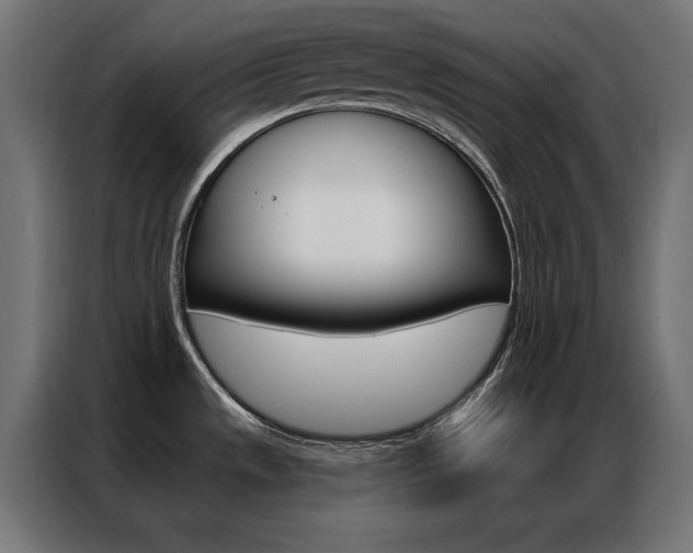 X0000086951533200704161046