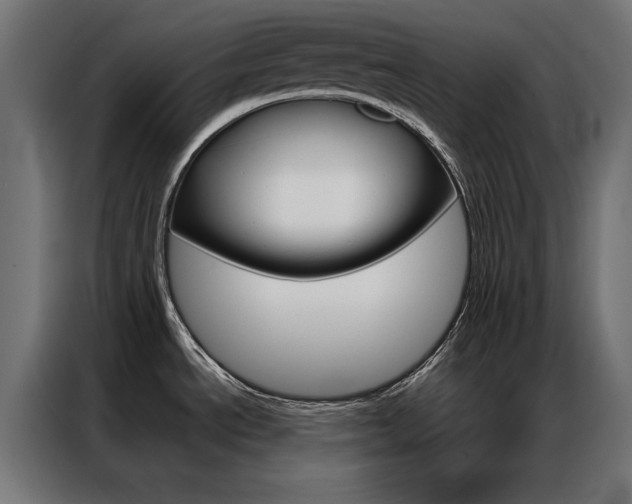 X0000086951534200704161046