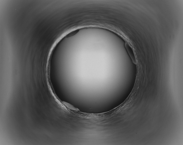 X0000086951536200704161046