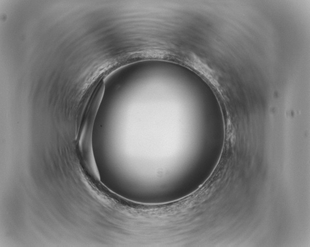 X0000086950013200704161505