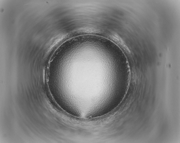 X0000086950014200704161505