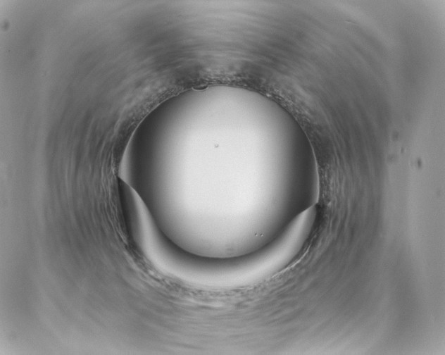 X0000086950033200704161505