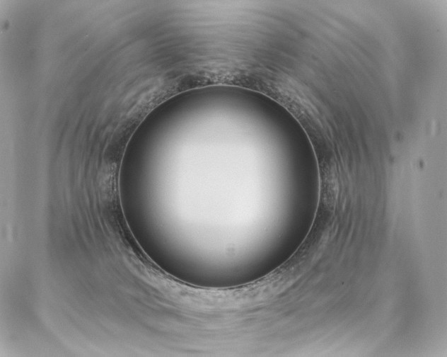 X0000086950034200704161505