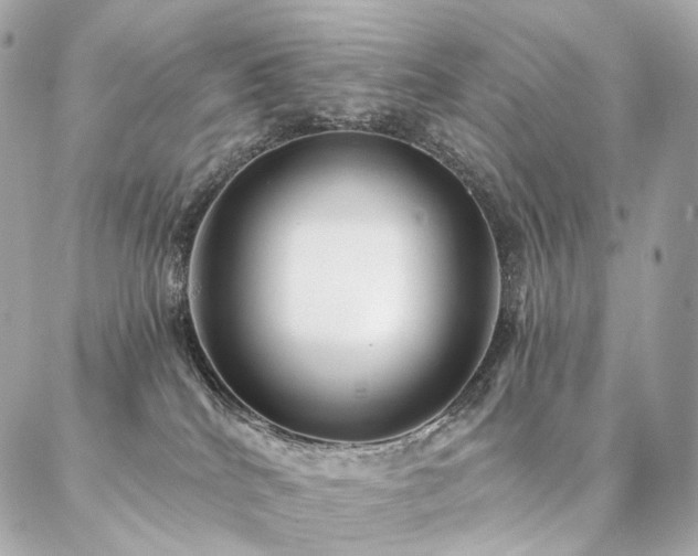 X0000086950040200704161505