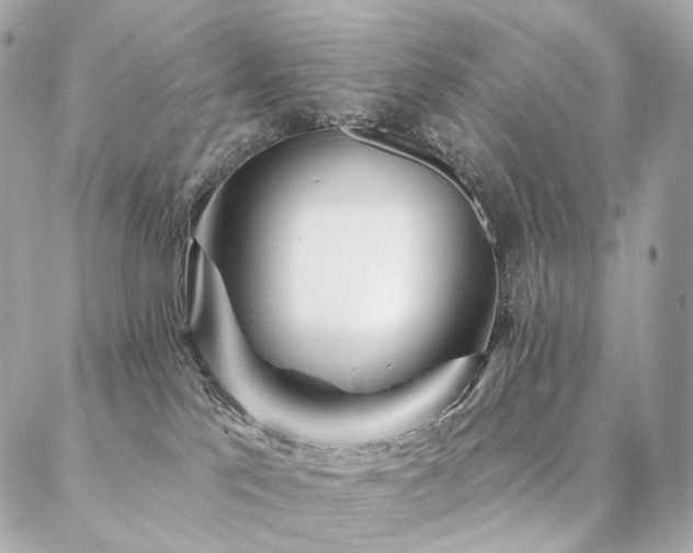 X0000086950041200704161505
