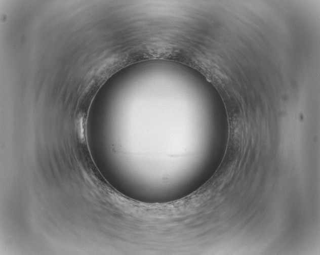 X0000086950042200704161504