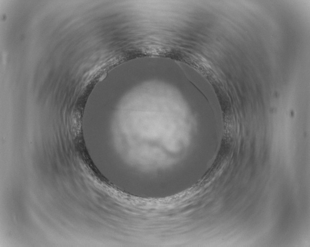 X0000086950043200704161504