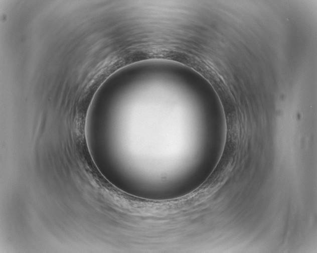 X0000086950044200704161504