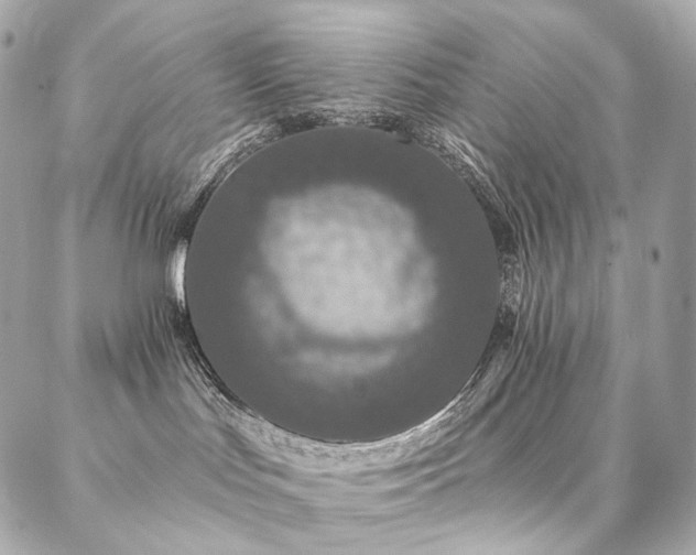 X0000086950047200704161504