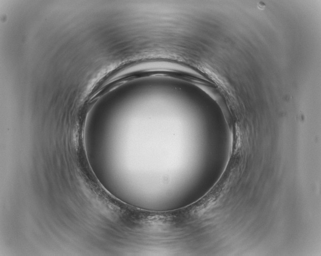 X0000086950064200704161504