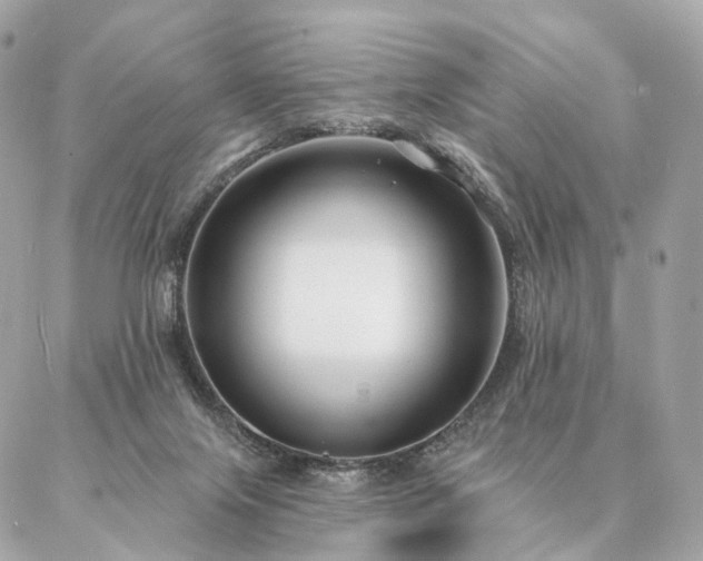 X0000086950071200704161504