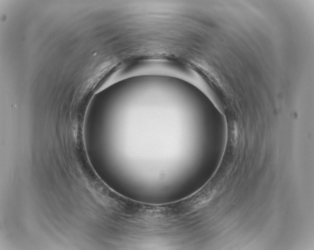 X0000086950072200704161504