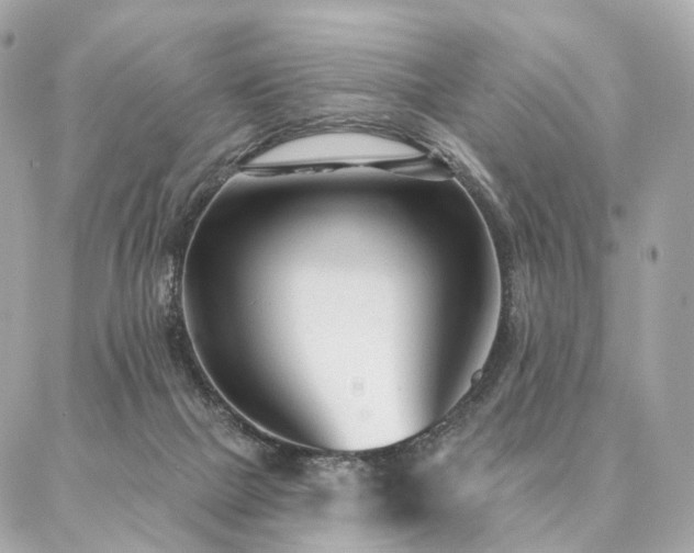 X0000086950073200704161504