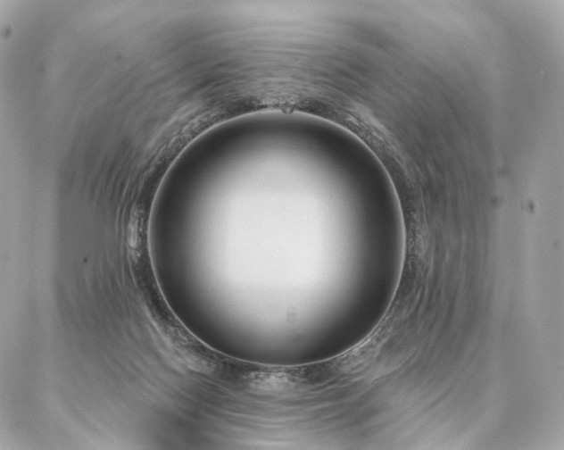X0000086950074200704161504