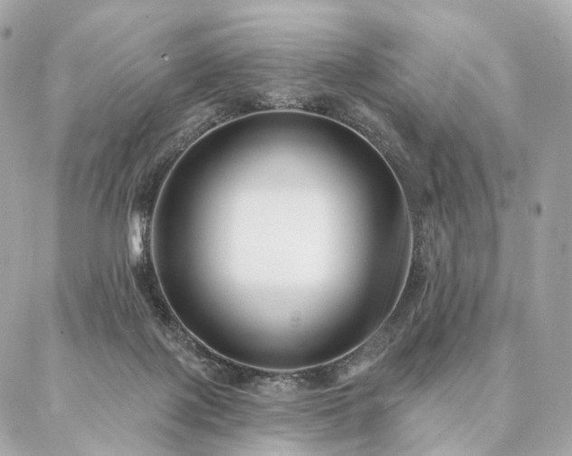 X0000086950075200704161504