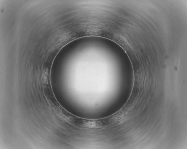 X0000086950083200704161504