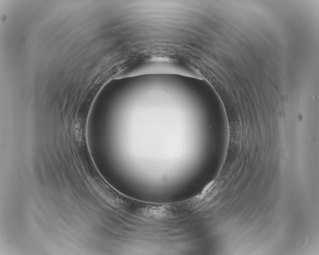 X0000086950086200704161504