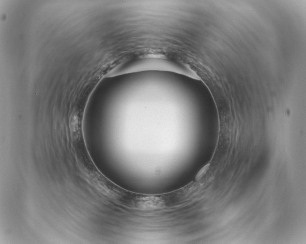 X0000086950087200704161504