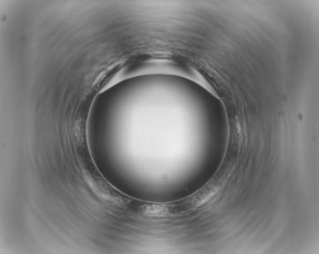 X0000086950088200704161504