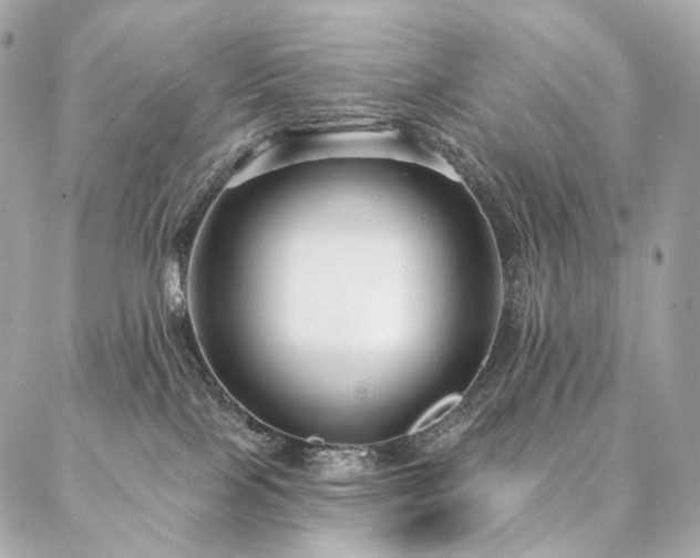 X0000086950089200704161504