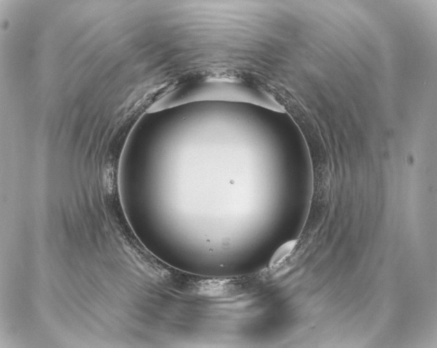 X0000086950090200704161504