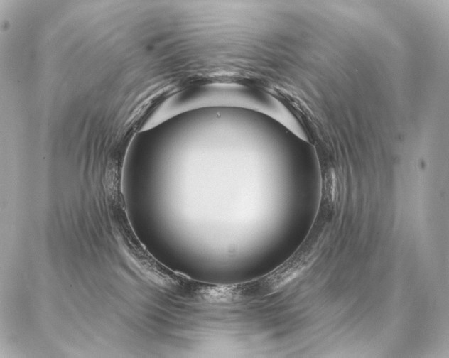 X0000086950092200704161504