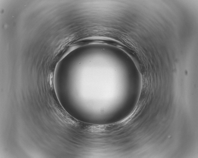 X0000086950094200704161504
