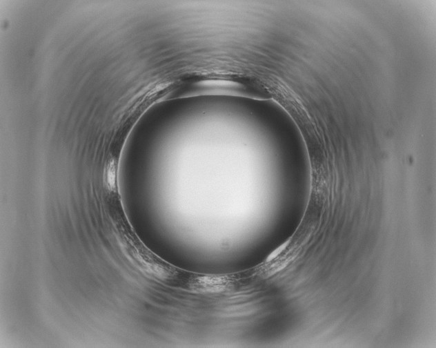 X0000086950095200704161504