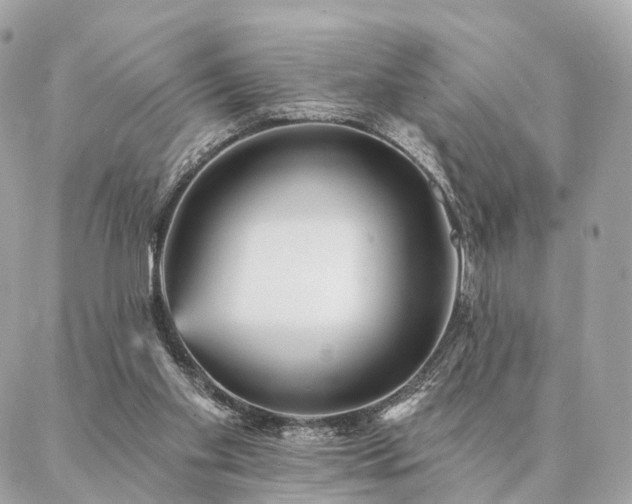 X0000086950109200704161503