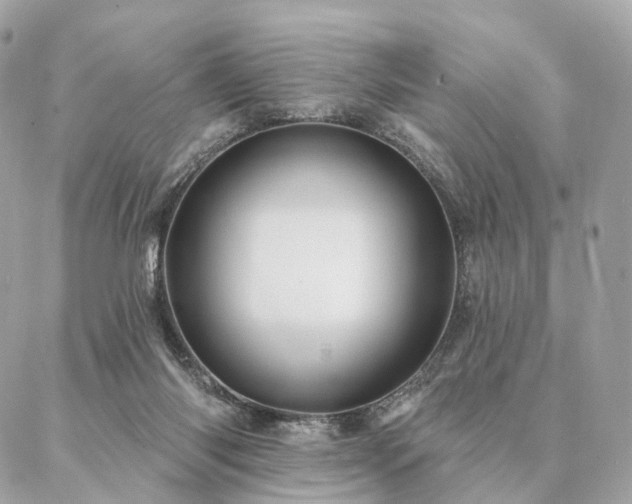 X0000086950118200704161503