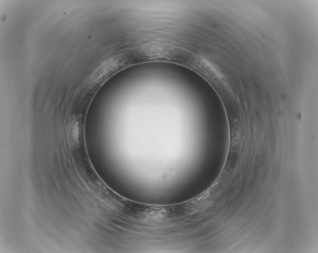 X0000086950124200704161503