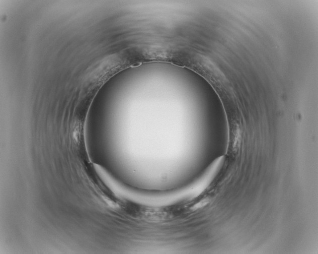 X0000086950125200704161503