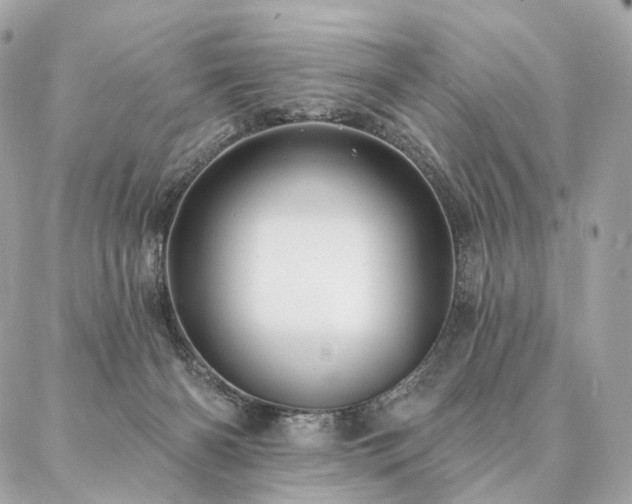 X0000086950126200704161503