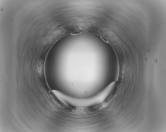 X0000086950129200704161503