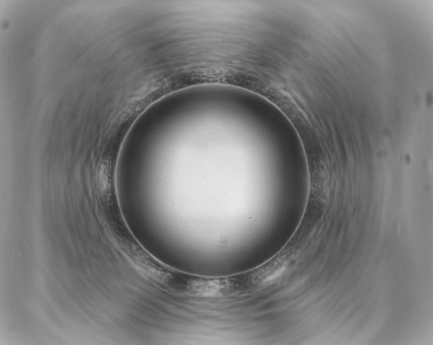X0000086950131200704161503