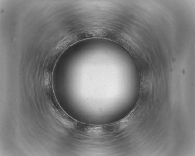 X0000086950132200704161503