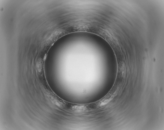 X0000086950133200704161503